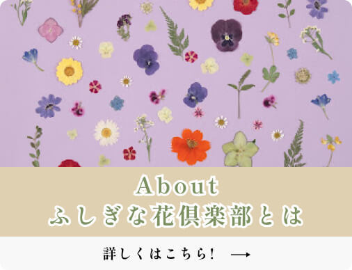 日本ヴォーグ社 ふしぎな花倶楽部 ＊ oshibana.com ＊