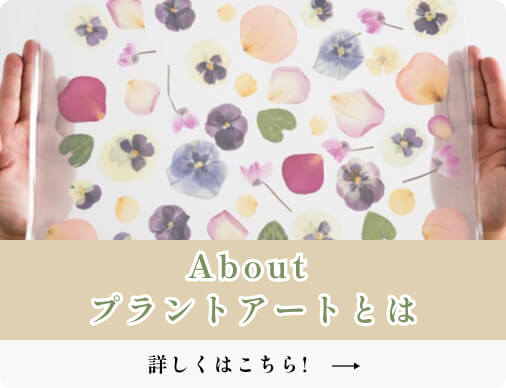 ふしぎな花倶楽部 プラントアート