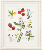 押し花通信講座